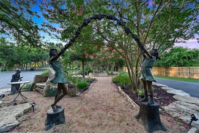 14305 Geronimo St, Leander, TX 78641 - view of yard