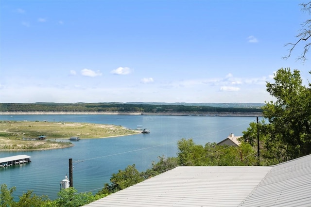 16443 Lake Loop Dr, Austin, TX 78734 - photo 30