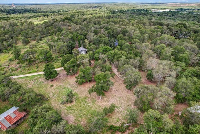 TBD Caldwell Ranch Rd, Cedar Creek, TX 78612 - photo 4