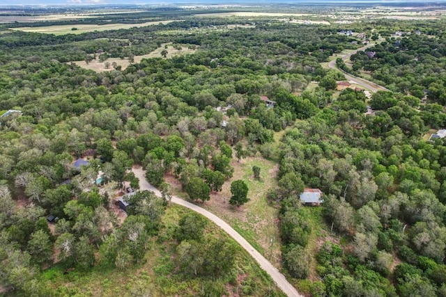 TBD Caldwell Ranch Rd, Cedar Creek, TX 78612 - photo 8