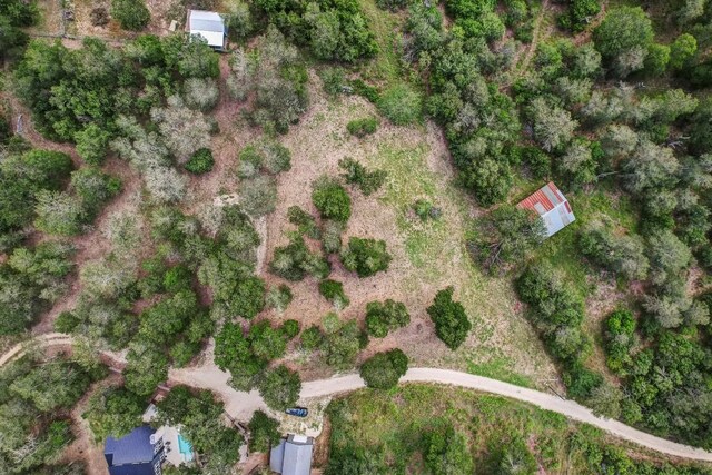 TBD Caldwell Ranch Rd, Cedar Creek, TX 78612 - photo 9