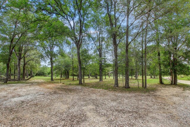 TBD Caldwell Ranch Rd, Cedar Creek, TX 78612 - photo 11