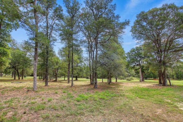 TBD Caldwell Ranch Rd, Cedar Creek, TX 78612 - photo 12