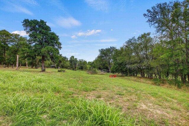 TBD Caldwell Ranch Rd, Cedar Creek, TX 78612 - photo 13