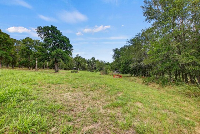 TBD Caldwell Ranch Rd, Cedar Creek, TX 78612 - photo 14