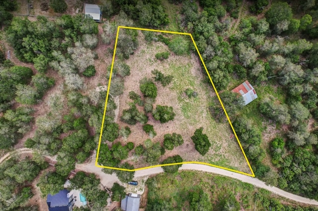 TBD Caldwell Ranch Rd, Cedar Creek, TX 78612 - photo 10