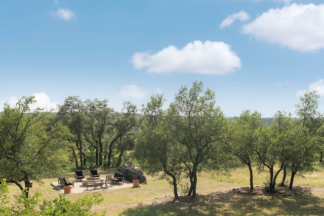 21311 Hamilton Pool Rd, Dripping Springs, TX 78620 - photo 19