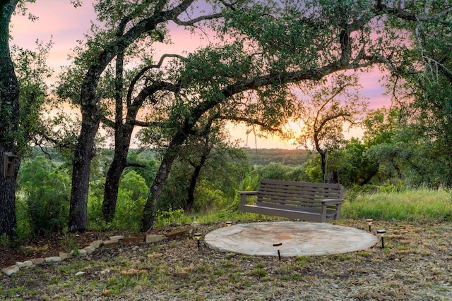 21311 Hamilton Pool Rd, Dripping Springs, TX 78620 - photo 23