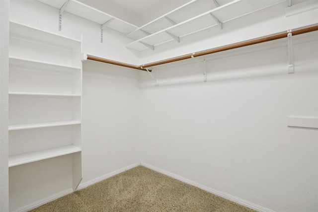 6520 Walebridge Ln, Austin, TX 78739 - spacious closet with carpet flooring