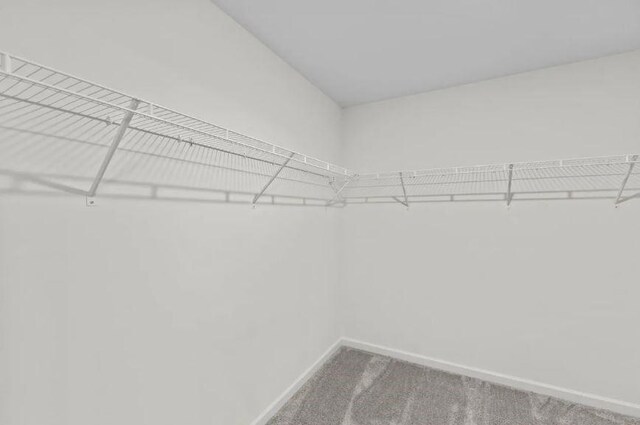 127 Bridgeview Dr, Hutto, TX 78634 - spacious closet with carpet floors
