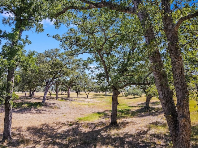 762 Karisch Rd, Giddings, TX 78942 - view of undeveloped land