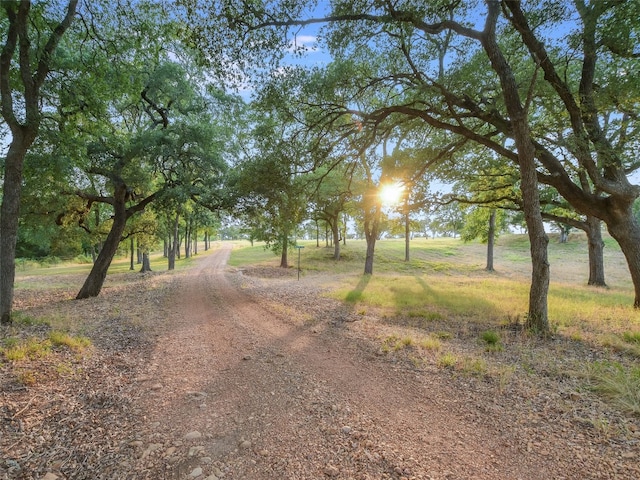 762 Karisch Rd, Giddings, TX 78942 - view of dirt / gravel road