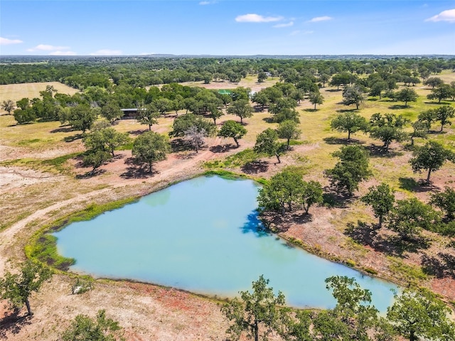 762 Karisch Rd, Giddings, TX 78942 - drone / aerial view of a large body of water and a forest