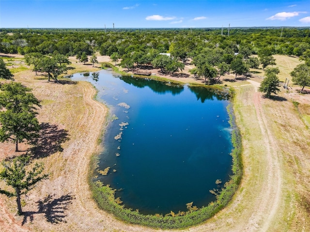 762 Karisch Rd, Giddings, TX 78942 - drone / aerial view of a nearby body of water and a heavily wooded area