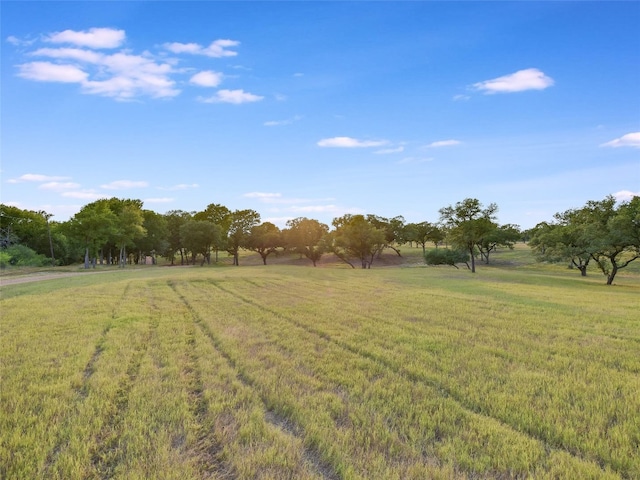 762 Karisch Rd, Giddings, TX 78942 - view of grassy yard featuring a view of rural / pastoral area