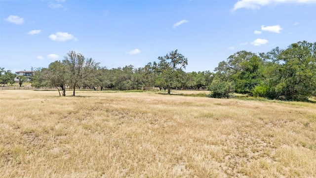 23923 Tres Coronas Dr, Spicewood, TX 78669 - photo 38
