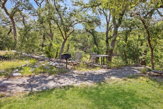 301 Sundance Trl, Dripping Springs, TX 78620 - photo 31