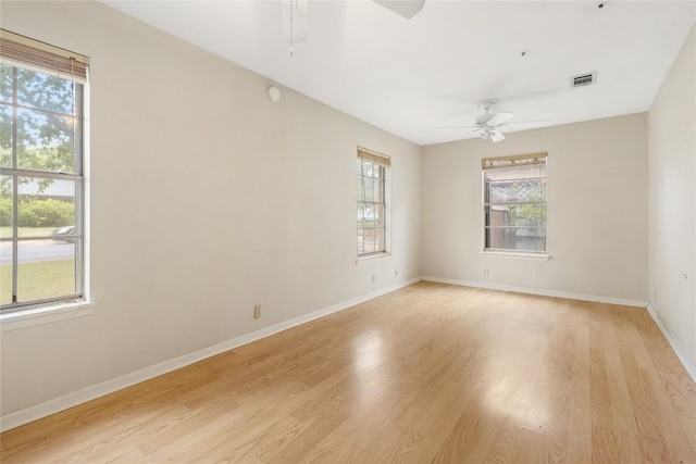 5708 Garden Oaks Dr, Austin, TX 78745 - photo 14