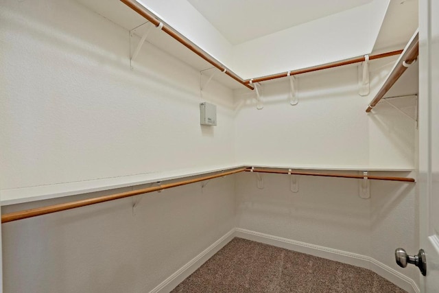 1806 Carey Ave, Taylor, TX 76574 - walk in closet with carpet floors