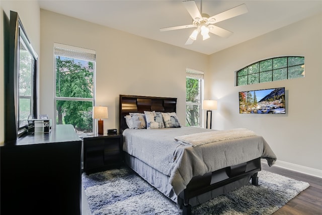 100 Diamond Trl, Georgetown, TX 78633 - photo 20