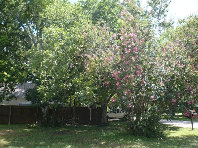 502 Ross St, Smithville, TX 78957 - view of yard