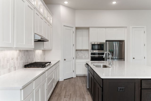 2935 Mckinnie Park, Bulverde, TX 78163 - kitchen with appliances with stainless steel finishes, under cabinet range hood, tasteful backsplash, white cabinetry, and light wood-style flooring