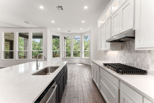 2935 Mckinnie Park, Bulverde, TX 78163 - kitchen featuring stainless steel appliances, under cabinet range hood, recessed lighting, white cabinetry, and backsplash