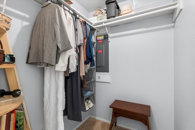 225 Spanish Oak Dr, Georgetown, TX 78628 - spacious closet with carpet and electric panel