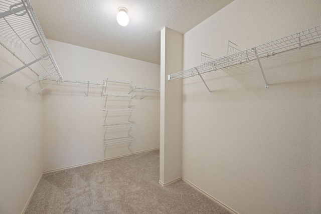 3841 Castle Rock Cv, Round Rock, TX 78681 - photo 21