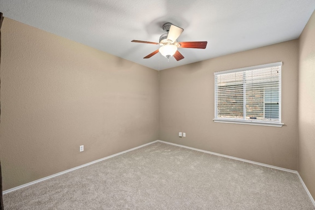 3841 Castle Rock Cv, Round Rock, TX 78681 - photo 22