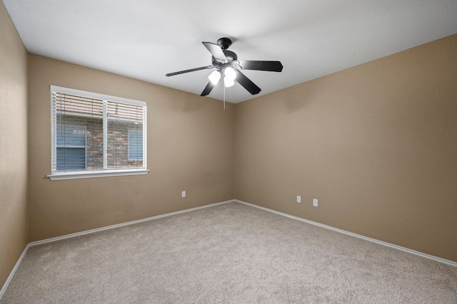 3841 Castle Rock Cv, Round Rock, TX 78681 - photo 25