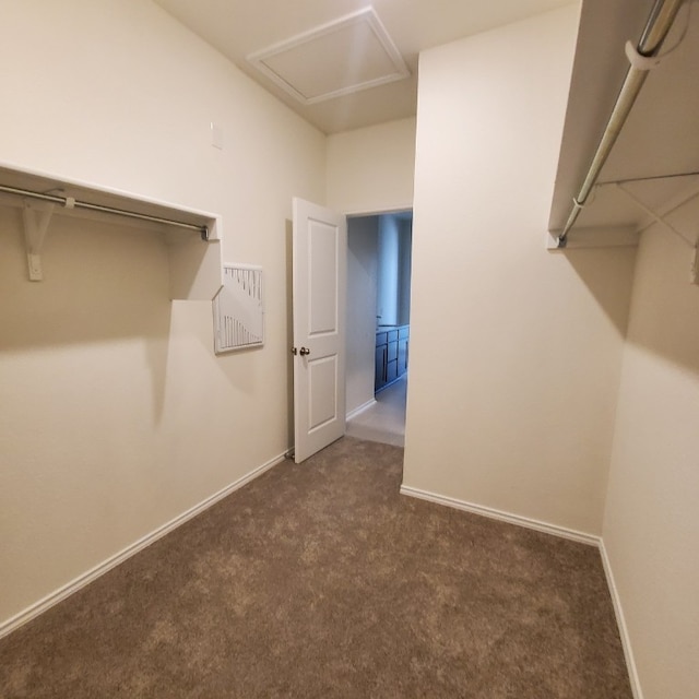 260 Feathers St, Jarrell, TX 76537 - photo 13