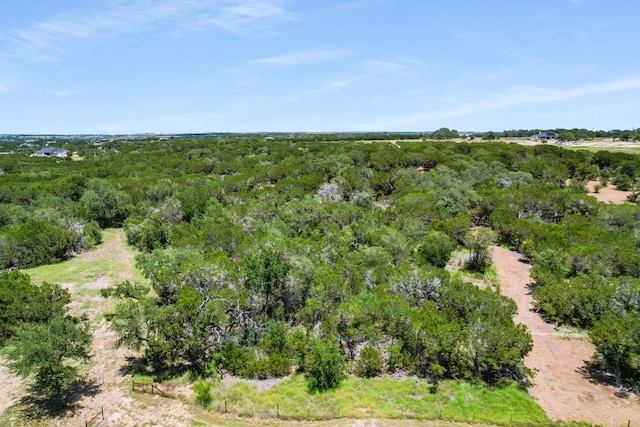 LOT157B Horned Frog Ct, Burnet, TX 78611