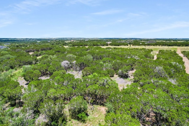 LOT157B Horned Frog Ct, Burnet, TX 78611