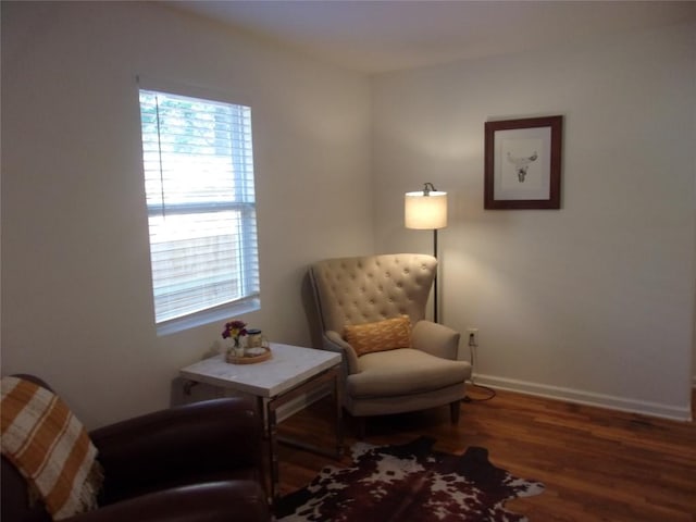 905 W Live Oak St, Austin, TX 78704 - living area with plenty of natural light and wood finished floors