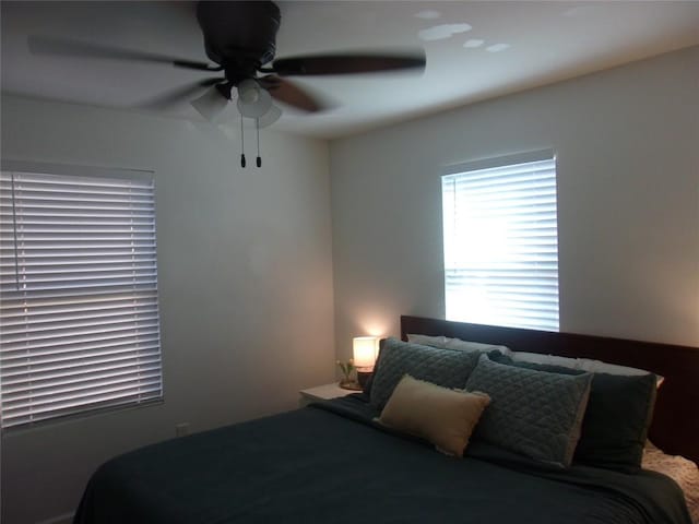 905 W Live Oak St, Austin, TX 78704 - bedroom featuring ceiling fan