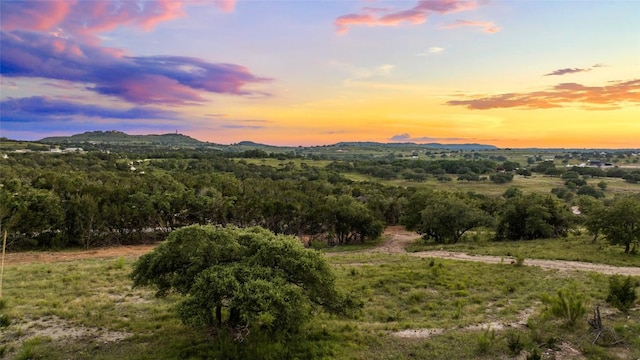 LOT13 Ridgeway Trl, Johnson City, TX 78636 - photo 5