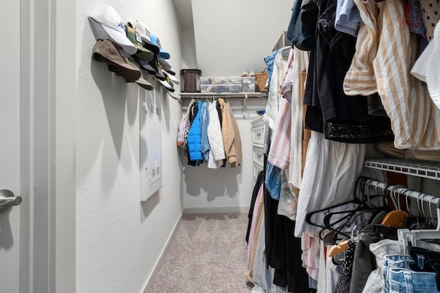 7713 Saddle Up Dr, Austin, TX 78724 - walk in closet with carpet flooring