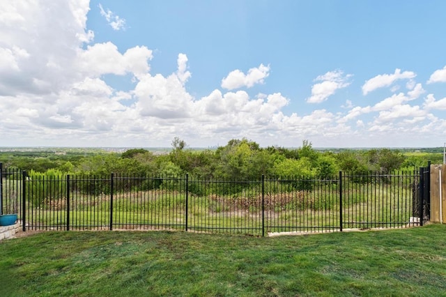 7713 Saddle Up Dr, Austin, TX 78724 - view of yard