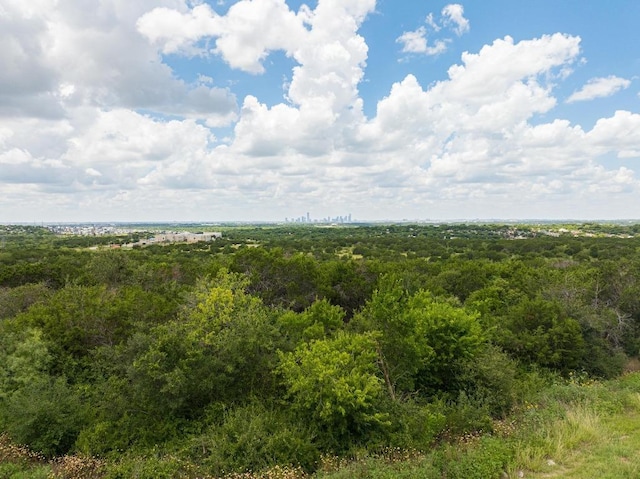 7713 Saddle Up Dr, Austin, TX 78724 - view of wooded area