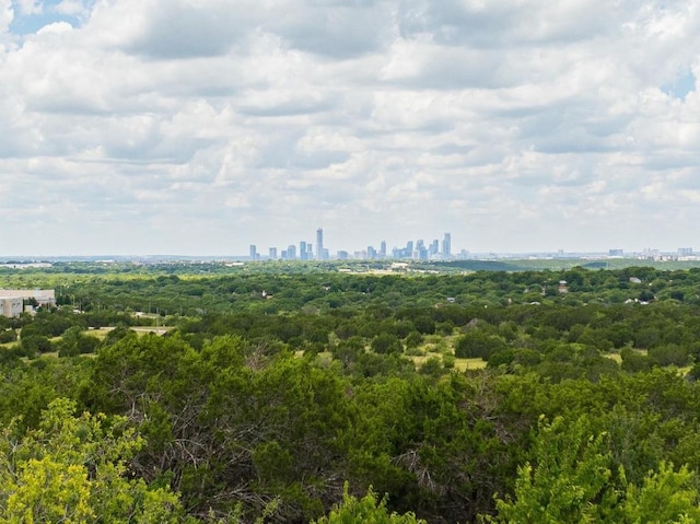 7713 Saddle Up Dr, Austin, TX 78724 - drone / aerial view of city skyline and a forest