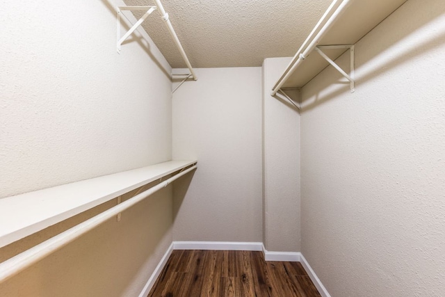 1212 Guadalupe St Unit 301, Austin, TX 78701 - walk in closet with dark wood-style floors