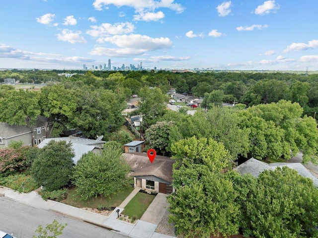 1214 Arthur Stiles Rd, Austin, TX 78721 - drone / aerial view