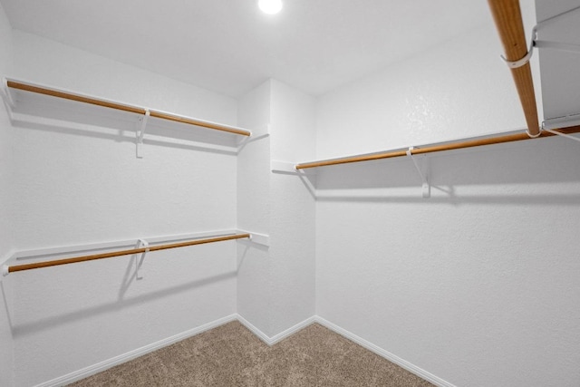 7517 Robert Kleburg Ln, Austin, TX 78749 - photo 23