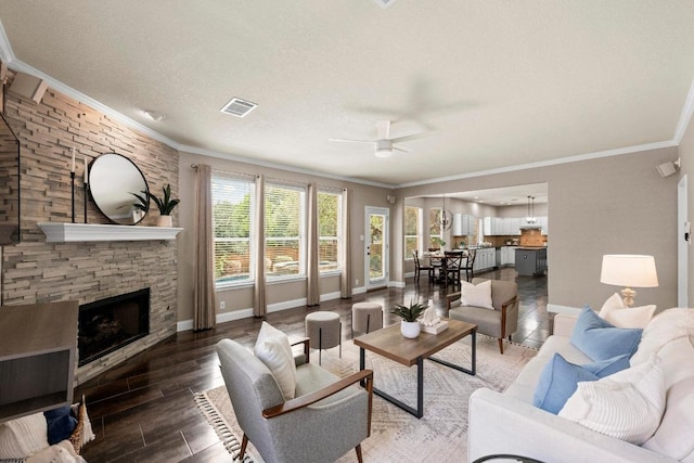 7517 Robert Kleburg Ln, Austin, TX 78749 - photo 6