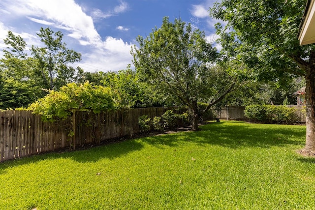 20733 Windmill Ridge St, Pflugerville, TX 78660 - photo 35
