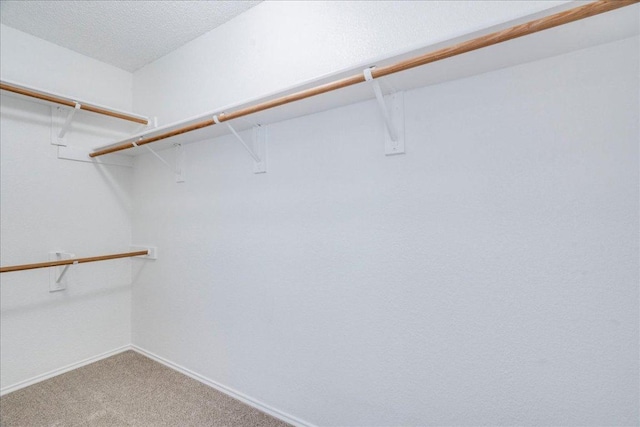 1705 Timberwood Dr, Cedar Park, TX 78613 - spacious closet with carpet
