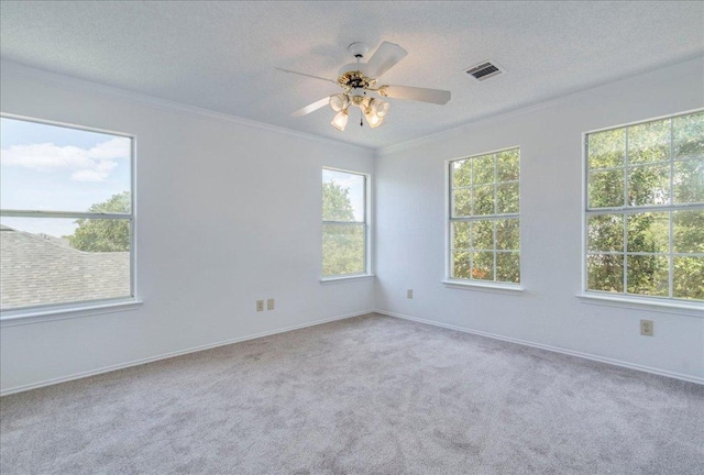 1705 Timberwood Dr, Cedar Park, TX 78613 - photo 17