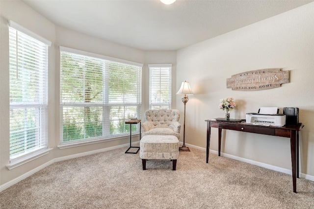 1509 Ascot St, Georgetown, TX 78626 - photo 29