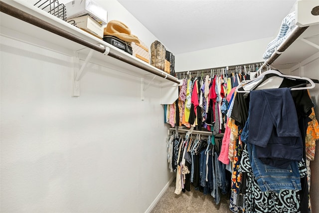559 Rockport St, Georgetown, TX 78633 - photo 16